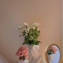 그린에코바이오 이미지