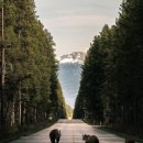 (주)대륙주유소 이미지