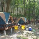 뿌리공원 이미지