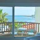 오션팔레드 이미지