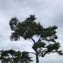 모항펜션 이미지