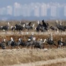 갤러리천수만 이미지