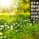 마곡대표공인중개사사무소 이미지
