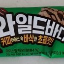 와일드바디 이미지
