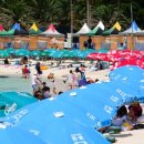 바글바글 이미지