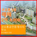 코오롱 공인중개사사무소 이미지