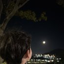 고운반 이도율 달 관찰 🌕✨ 이미지