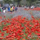 감천1동-6 이미지