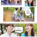 도화주 이미지