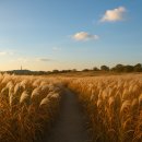 붕카센타 이미지