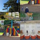 진도개 사랑 | 진도 아이와 가볼만한곳 진도개테마파크 공연시간 썰매장 입장료