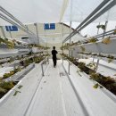 희주농장 이미지