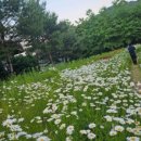 서문산림 이미지
