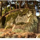 상야2리 이미지