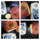 한솔농장 이미지