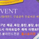 홈스토리판