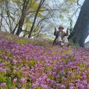 학원목장 이미지