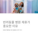 부자동물병원 이미지