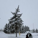 비에이(B/A) | 삿포로 비에이투어 가격 할인 내돈내산 여행한그릇 후기