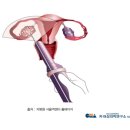 차병원 | 서울역차병원 난자채취 후기