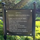 카페공오공삼