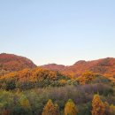 계족산 임도길 (13일 수욜) 취소합니다 이미지