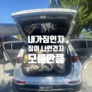 [담양] 스카이콩콩있고 대나무뷰가 멋진 대나무골오토 캠핑장 다녀온 후기