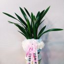 수정꽃화원