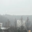 행복칼국수 이미지