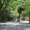 철이네 - 산청군 남명로 201 | 철이네