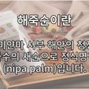 자담인푸른섬