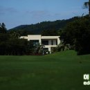 샤인빌 | 제주 야간 3부 골프장 예약 가능한 제주 샤인빌cc 후기