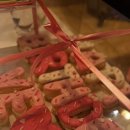 [압구정 몽고네] 친구 생일엔 역시 분위기 + 맛 완벽한 파스타 집!