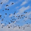 대두마을회관 이미지