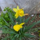 병태농장 이미지