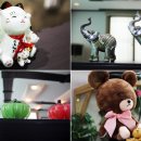 제주올레건강샵