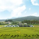 백마권역 이미지