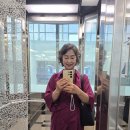 인성어린이집 | 지원청] 'MBTI로 이해하는 나, 독서로 성장하는 나' 어린이집 교직원 대상 인성 독서 직무 강화 연수 후기