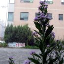 목화소아청소년과의원 이미지