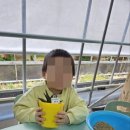 이솝예술어린이집 네이버블로그