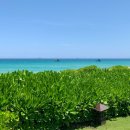 예)강경읍 실내수영장 | 나트랑 더아남 리조트 후기🌴 (가든뷰빌라 • 수영장 • 조식 • 더아남 버거)