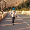 남파랑길 11코스 이미지