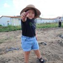 호미포도농원 | 용인 포시즌 체험농장 감자 고구마캐기 체험 아이랑 갈만한 곳