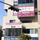 봄비애