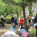 백의초등학교 이미지