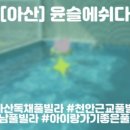 윤슬에, 쉬다 이미지