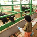 통진목장 이미지