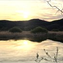 이방초등학교 이미지