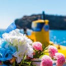 ㈜신나는세상 이미지