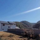 동면체육관 이미지